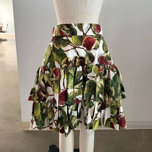 Dolce & Gabbana A-Line Skirt with Fig Print